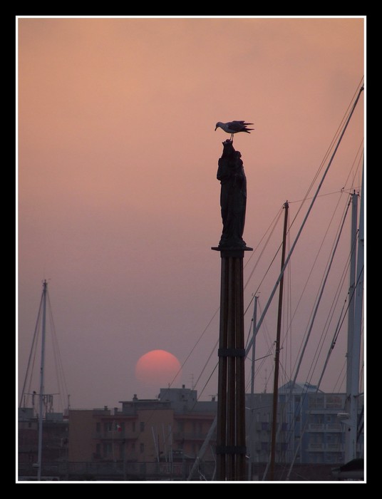 Darsena rosata