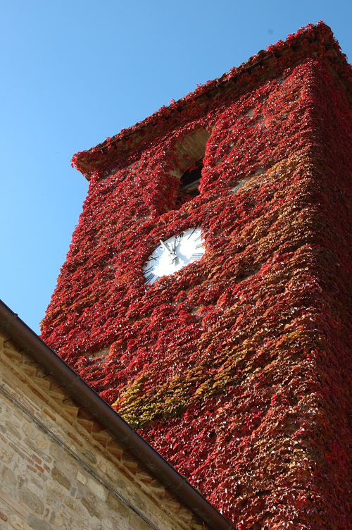 autunno...puntuale