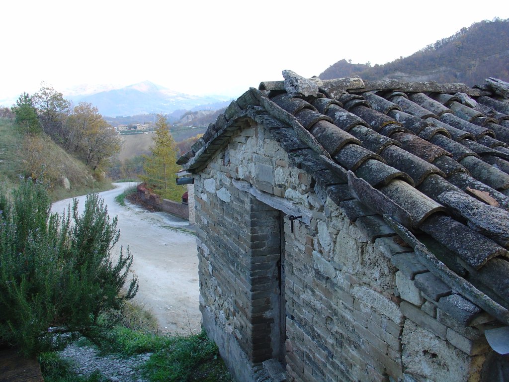 Fr1