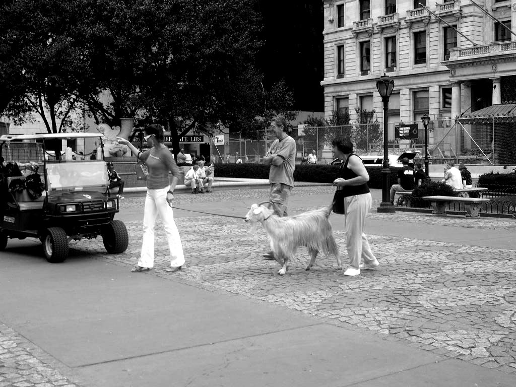 Cool life in New York City