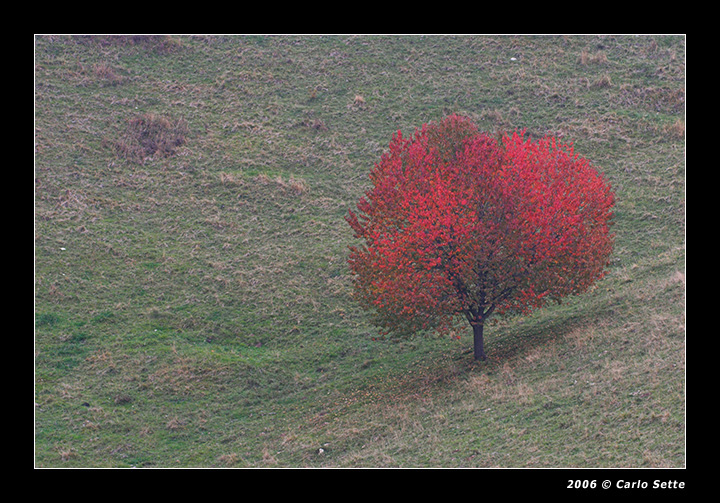 Colle Averto