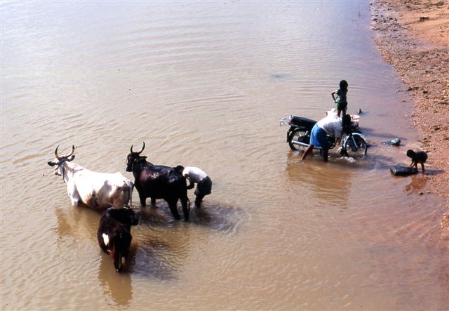 al fiume - india