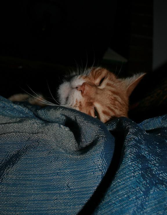 naneeee