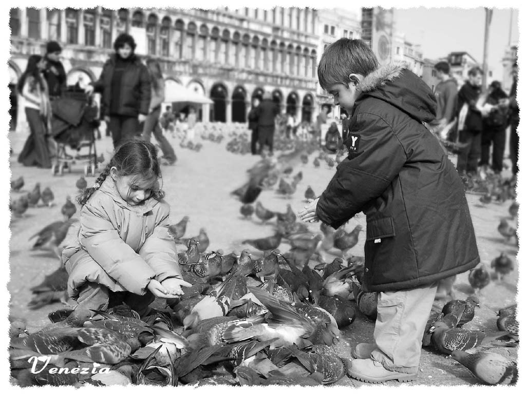 Piazza S. Marco