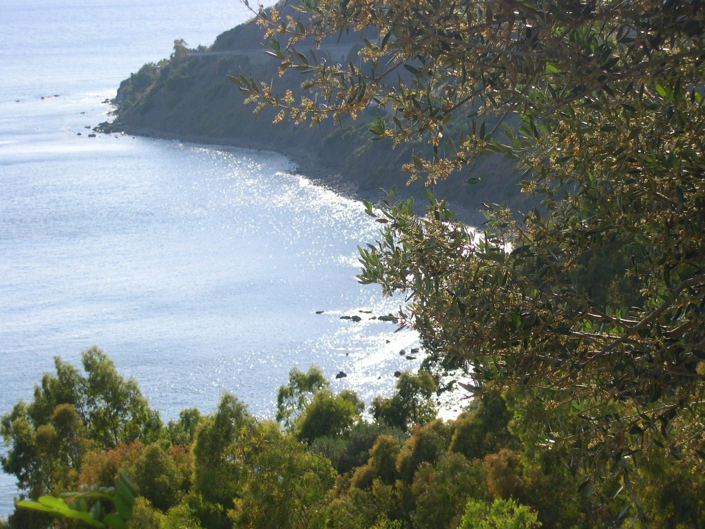 Cilento