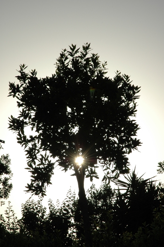 Point of light