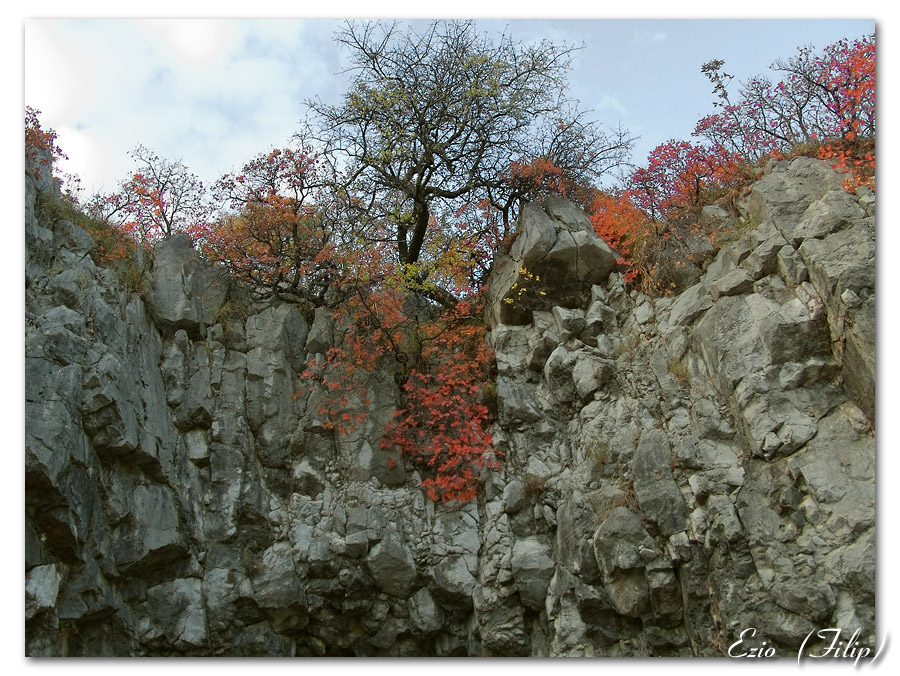 Carso autunnale 2