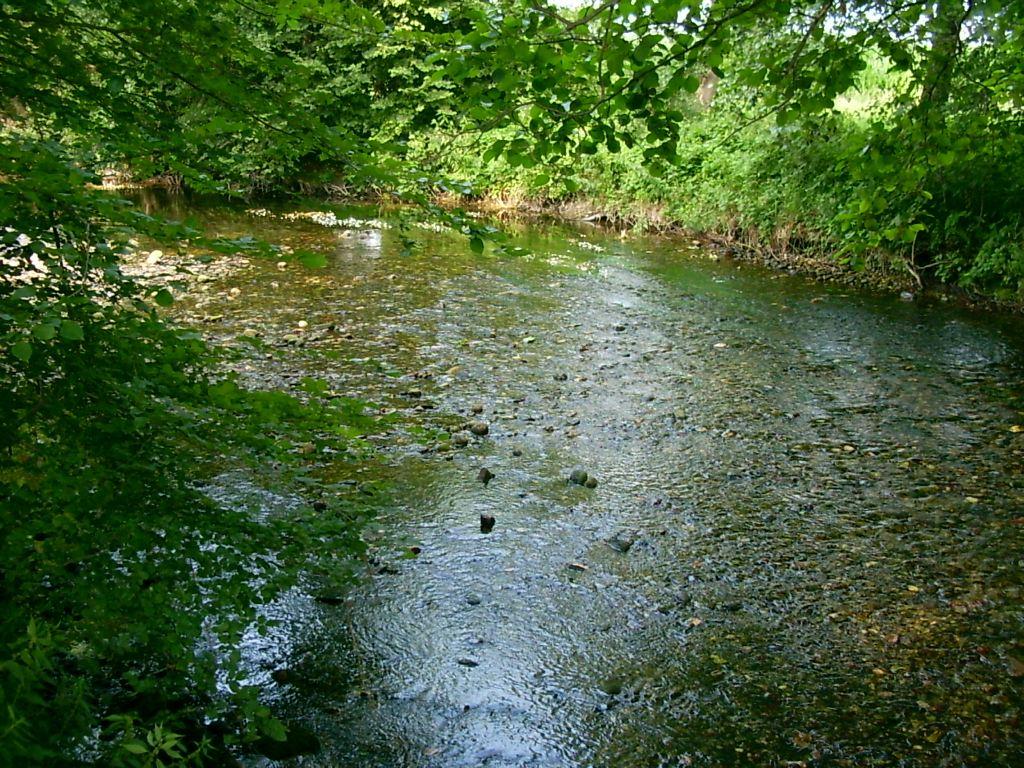 Tratto di un fiume - 003