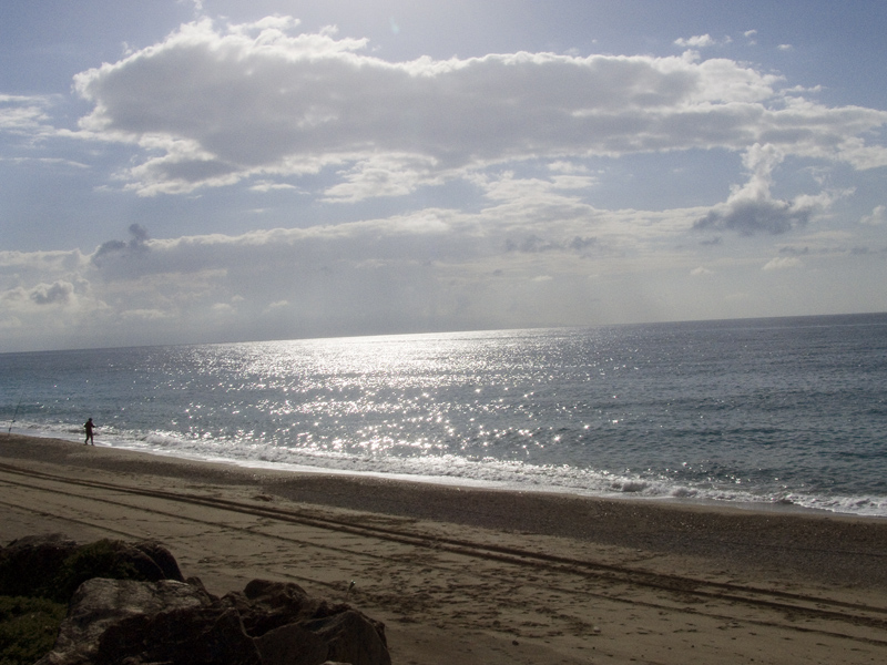 Controluce