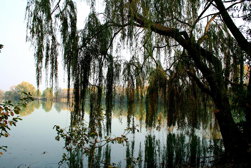 L'acrime nell'acqua