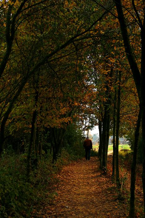 La solitudine