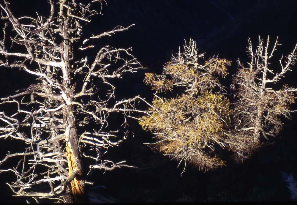 Luce e ombre