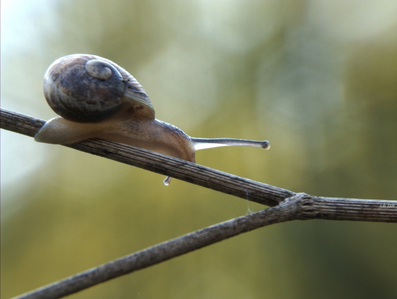 Slow?