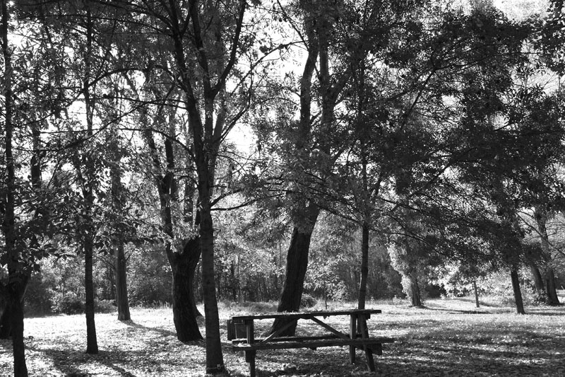 Autunno2