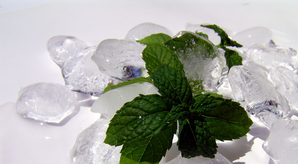 mojito