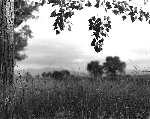 Umbria