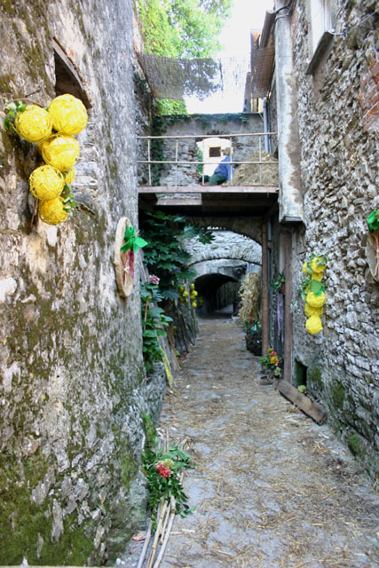 Festa dell'uva 10
