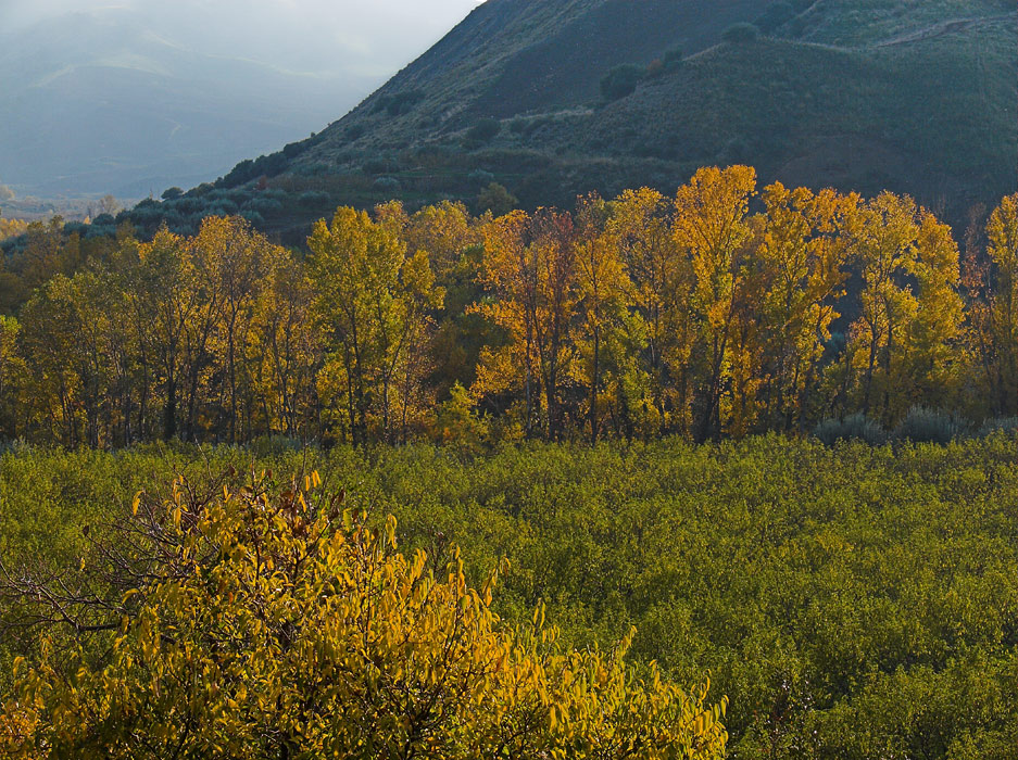 .: autunno siciliano 2006 :.