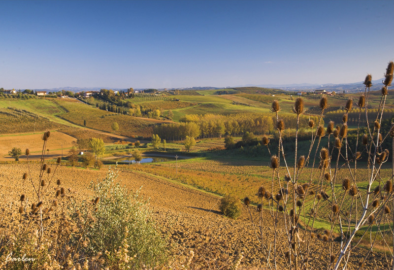 Cerreto Guidi....panorama