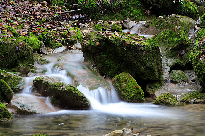 Torrente Potok