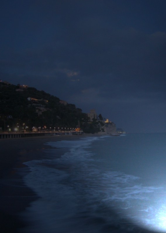 il tarocco