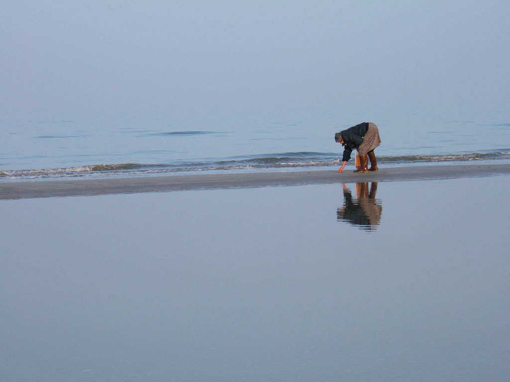 riflessi