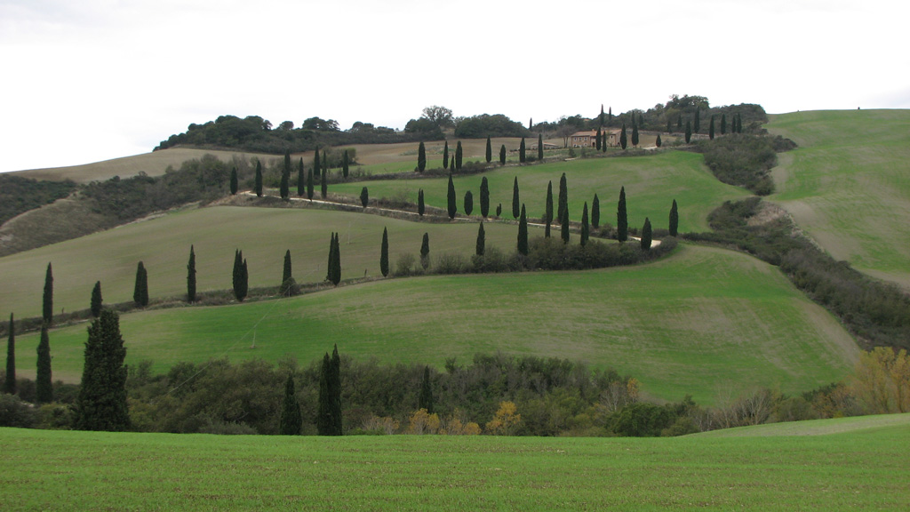 Slalom tra i pioppi