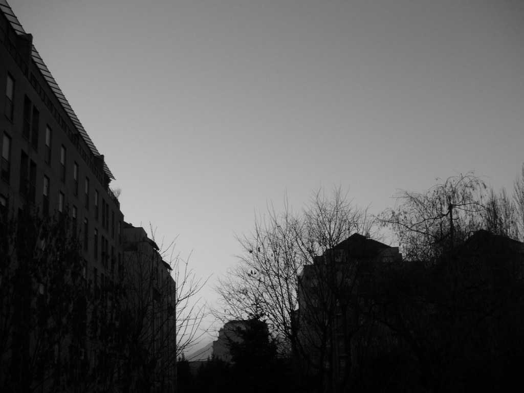 PANORAMA