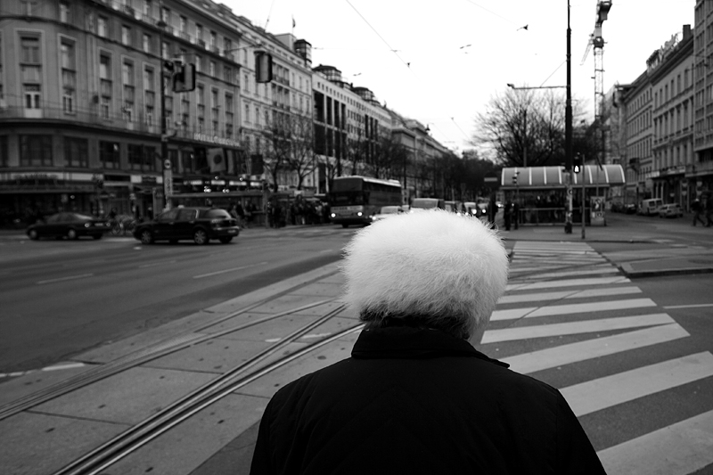 vienna #1