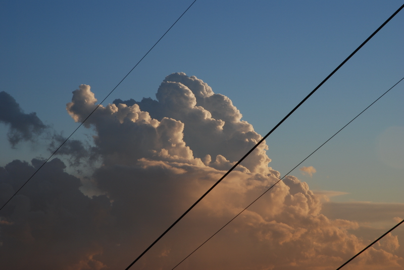 Linee
