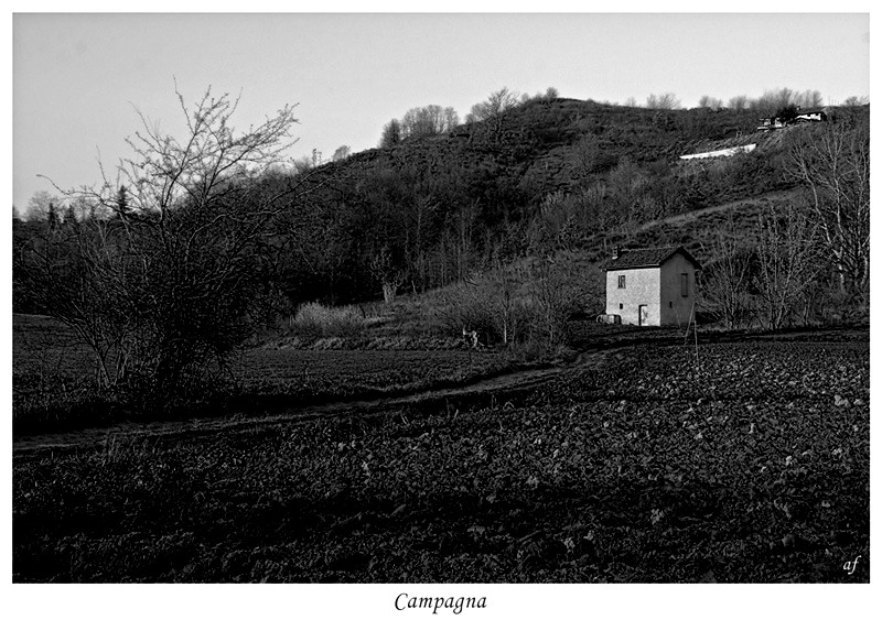 Campagna piemontese #2 b&N
