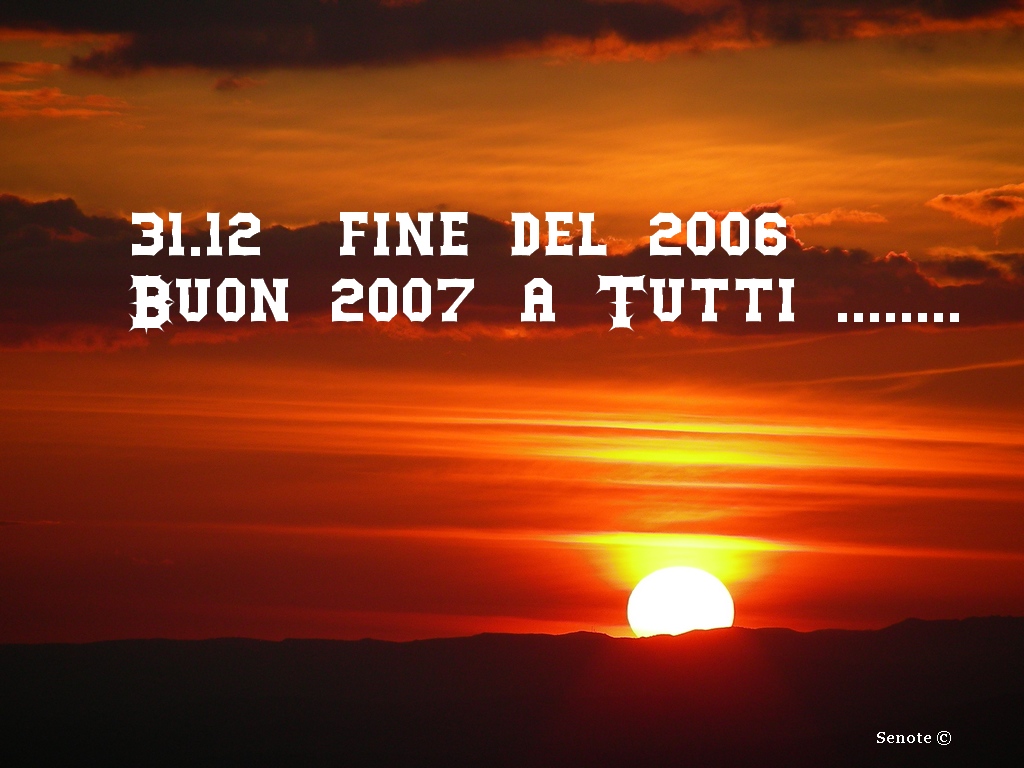 Fine 2006