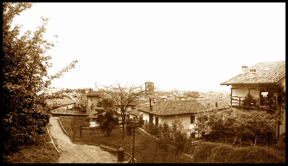 Il Pecora