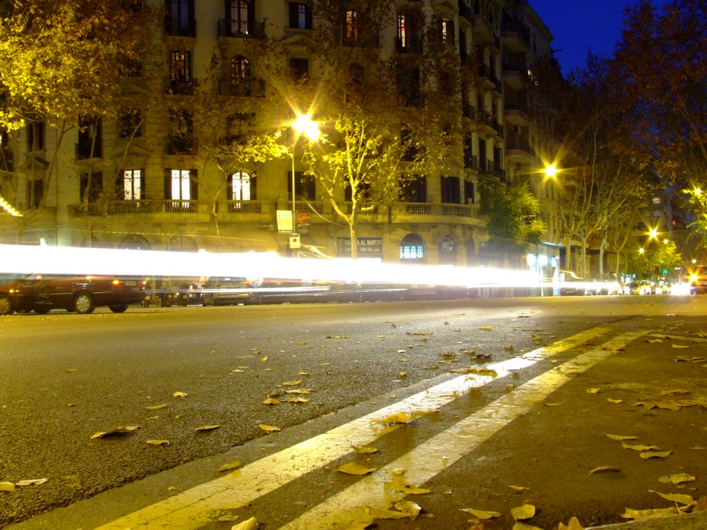 Auto 1
