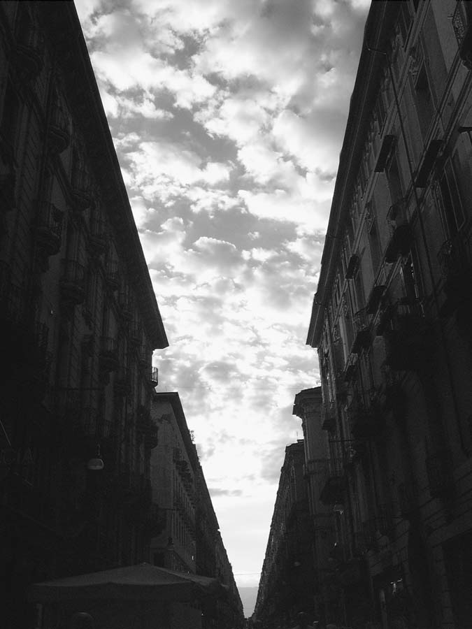 V di Torino