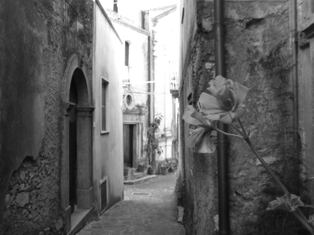 Davoli7