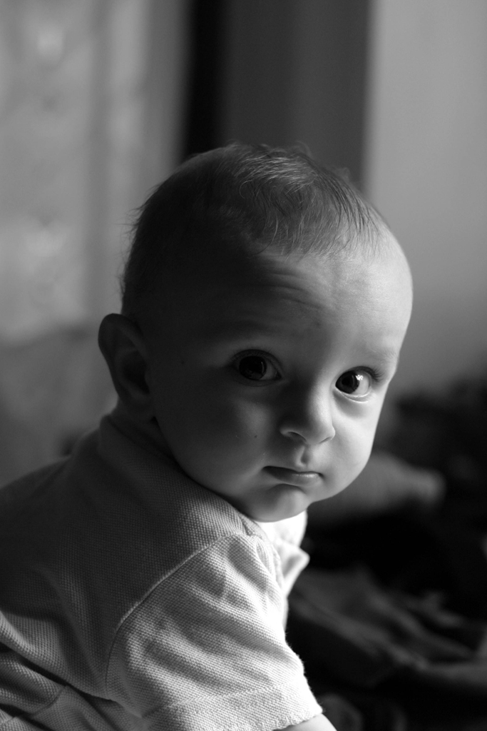 Il mio principino