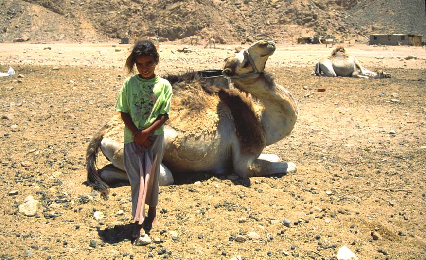 Deserto del Sinai, Egitto