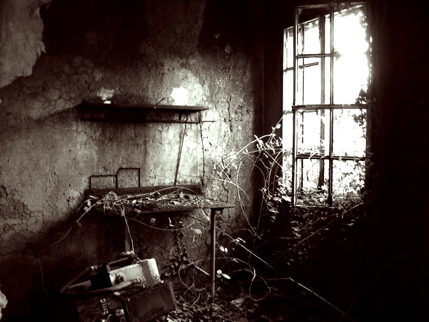 L'ombra delle luce#2