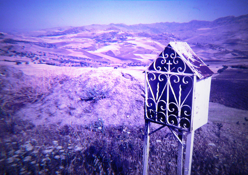 .: Vittima Della Strada :.
