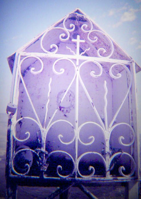 .: Vittima Della Strada :.