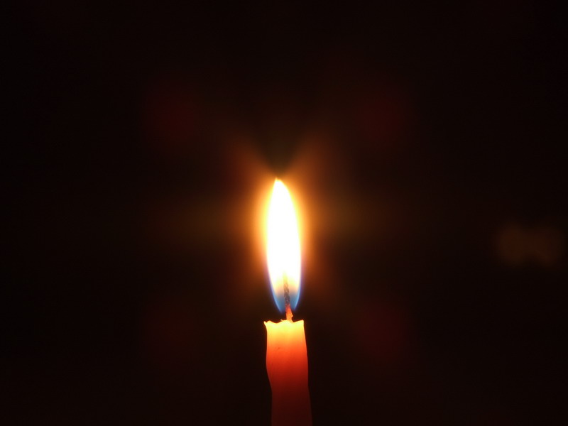 Candela f8