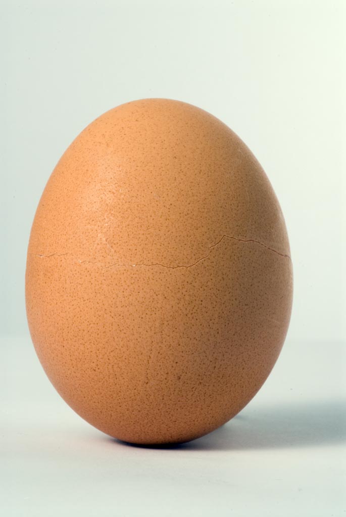 Uovo