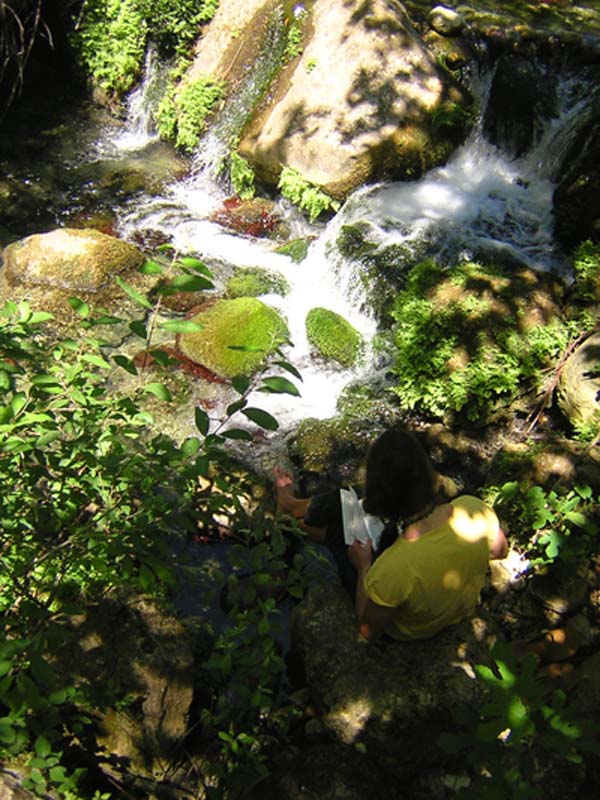 Suoni