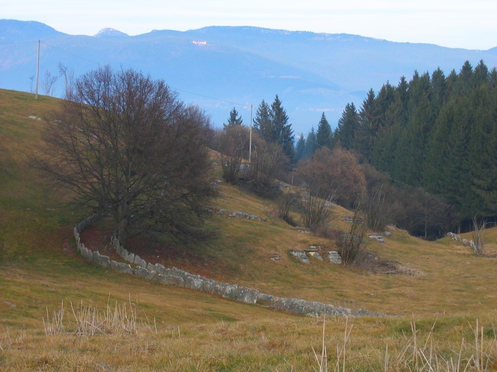 prati di Cesuna