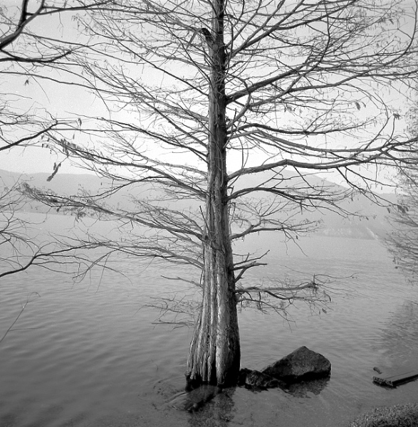 iseo