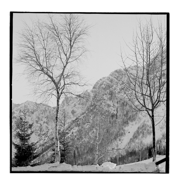 neve