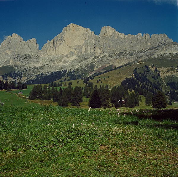 fassa