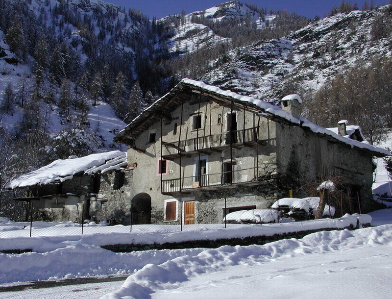 rustico