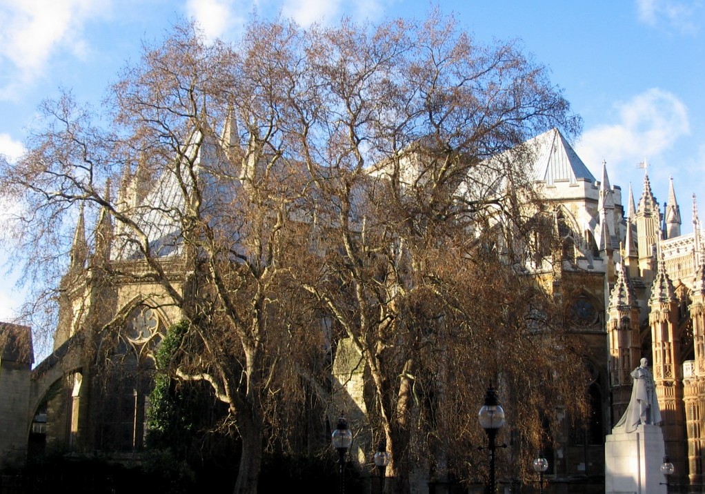 L'Abazia
